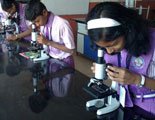 lab