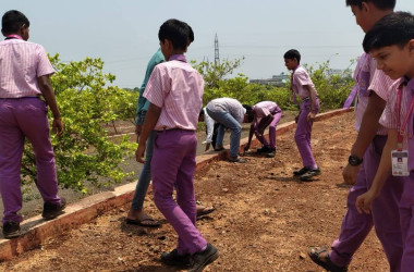 Earth Day Celebration 2025